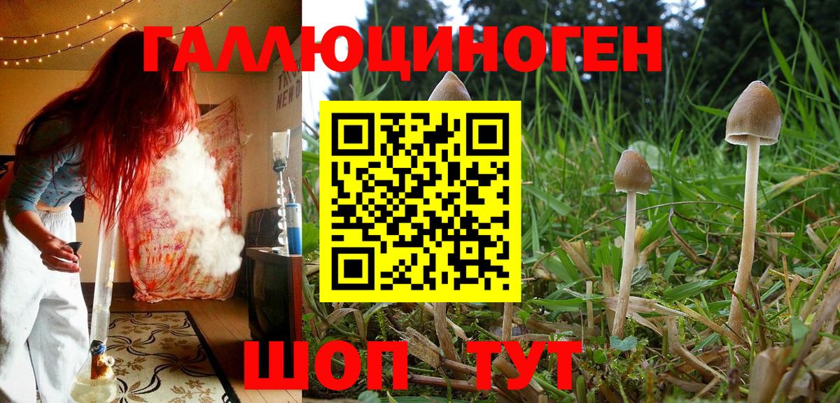 Надым  Галлюциногенные грибы Psilocybine cubensis  Вход с VPN  Псилоцибиновые грибы Psilocybe 
