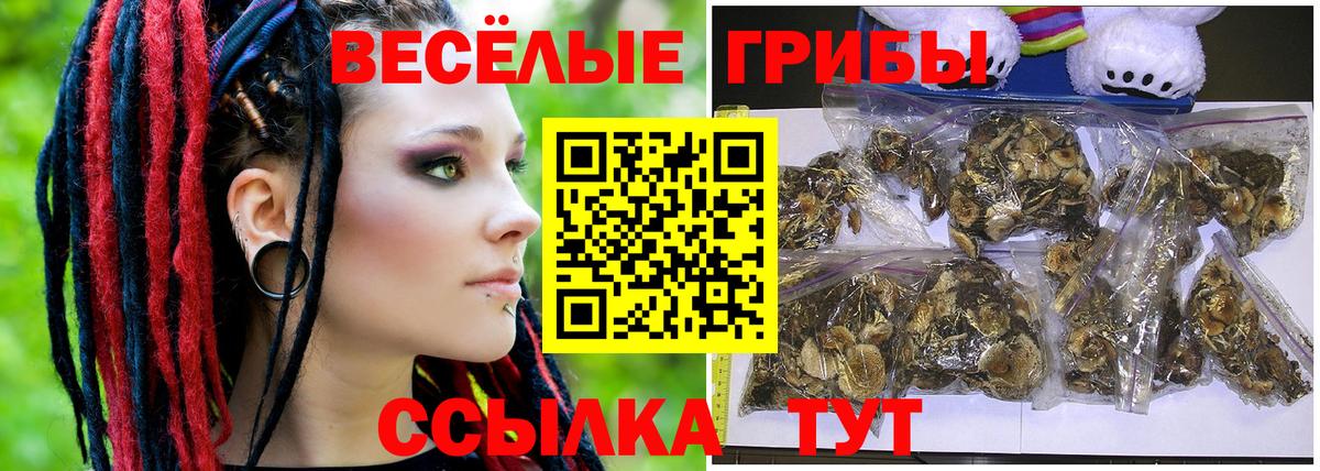 Галлюциногенные грибы Cubensis Надым